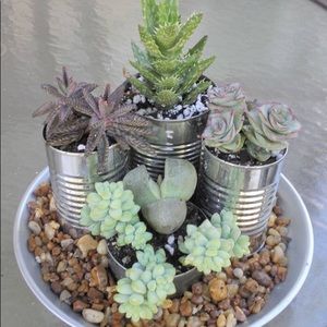 Meet your Posher, Daniela